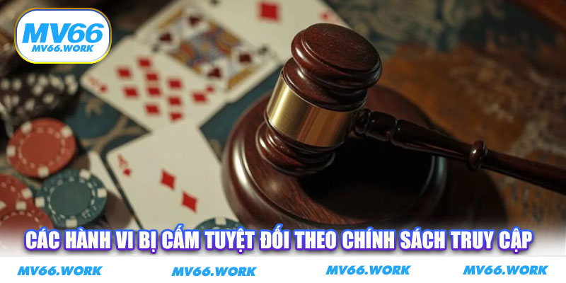 Các hành vi bị cấm tuyệt đối theo chính sách truy cập