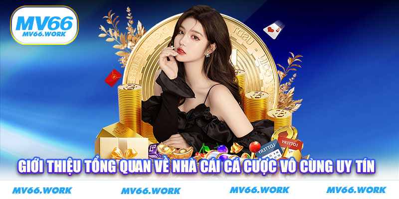 Giới thiệu tổng quan về nhà cái cá cược vô cùng uy tín