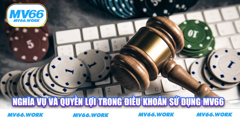 Nghĩa vụ và quyền lợi trong điều khoản sử dụng MV66