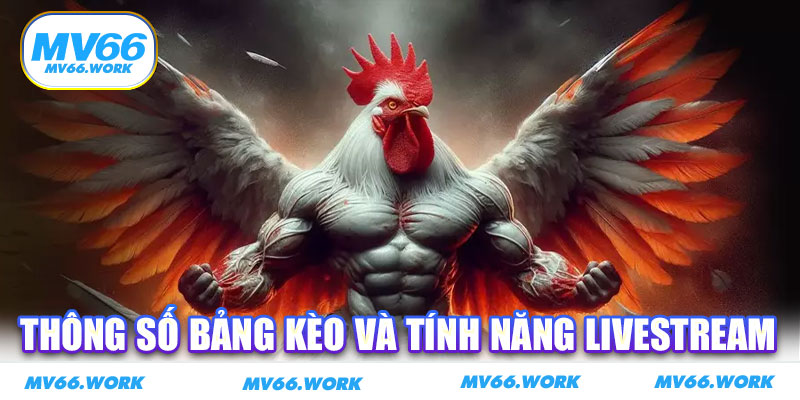 Thông số bảng kèo và tính năng livestream