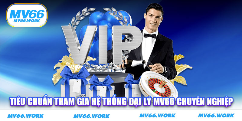 Tiêu chuẩn tham gia hệ thống đại lý MV66 chuyên nghiệp